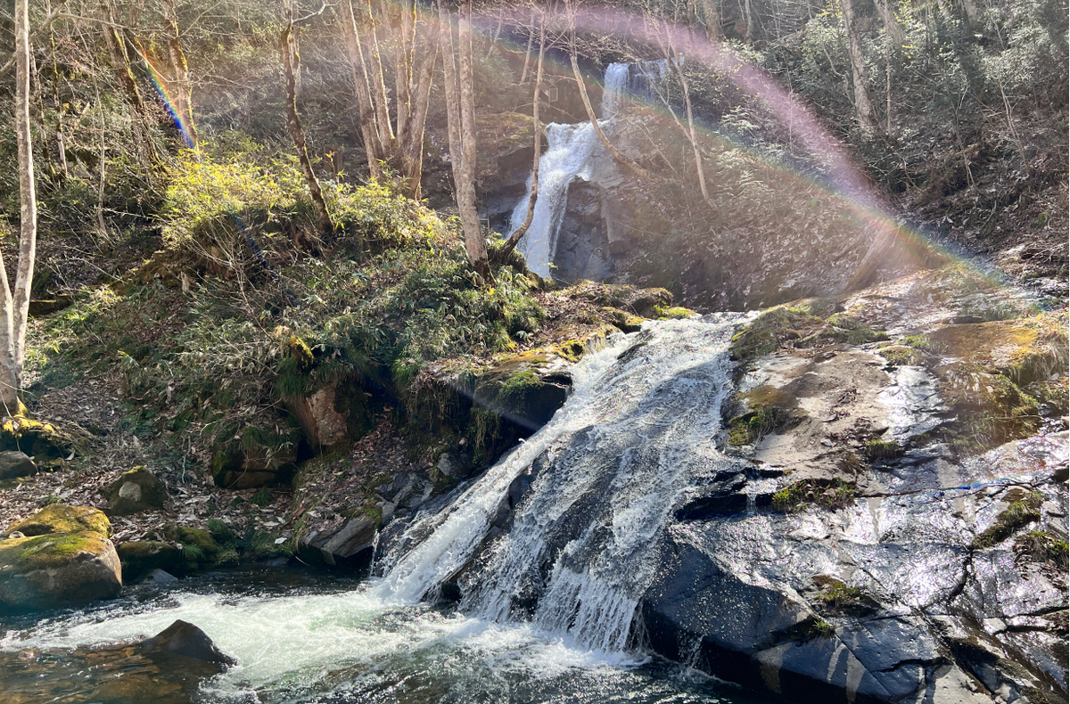 滝 Blog_4df626c5-2db5-4b0d-a100-