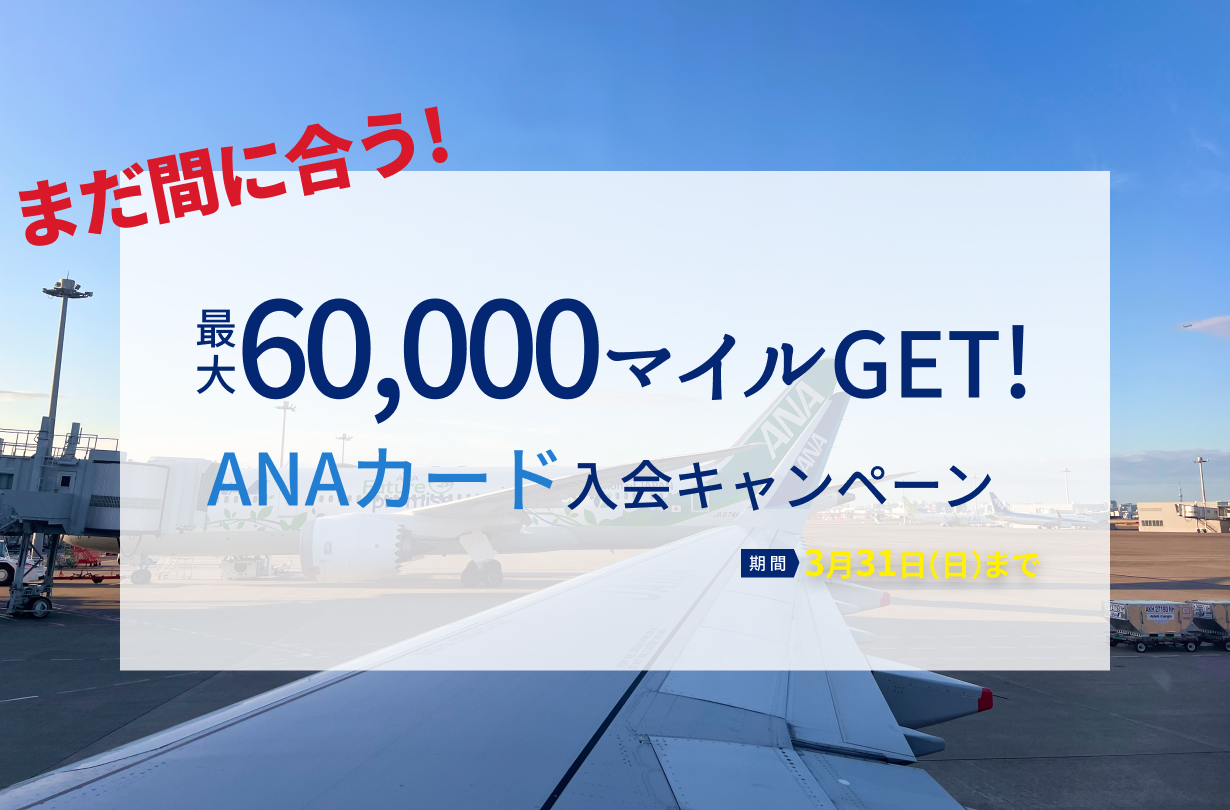 ANAスーパーフライヤーズカードとSFC修行は本当にお得？メリット・費用を解説【2025年版】 – kZm Freedom Journey