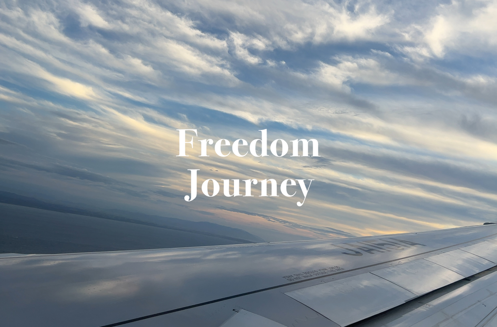 Freedom Journey について